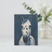 Carte Postale Appaloosa cyanotype (Debout devant)
