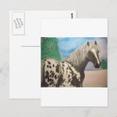Carte Postale Appaloosa hiver (Devant / Derrière)