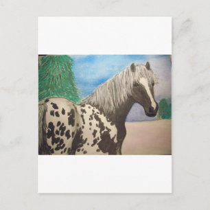 Carte Postale Appaloosa hiver