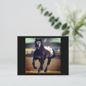 Carte postale Appaloosa Horse (Debout devant)