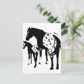 Carte Postale Appaloosa Mare et Foie (Debout devant)