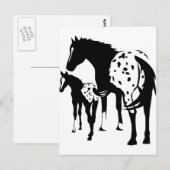 Carte Postale Appaloosa Mare et Foie (Devant / Derrière)
