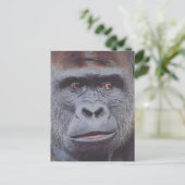 Carte Postale apparence de gorille (Debout devant)