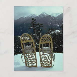 Carte Postale Appariement Dans Le Blanc Éblouissant