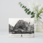 Carte Postale Apparition de la Vierge Marie (Debout devant)