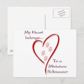 Carte Postale Appartenances cardiaques de Schnauzer miniature (Devant / Derrière)