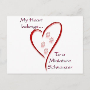 Carte Postale Appartenances cardiaques de Schnauzer miniature