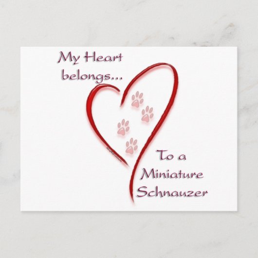 Carte Postale Appartenances cardiaques de Schnauzer miniature (Devant)