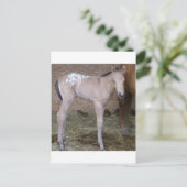 Carte Postale appbabe (Debout devant)