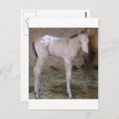 Carte Postale appbabe (Devant / Derrière)