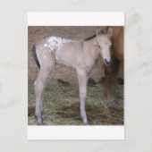 Carte Postale appbabe (Devant)