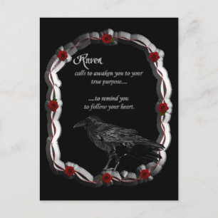 Carte Postale Appel de cordes