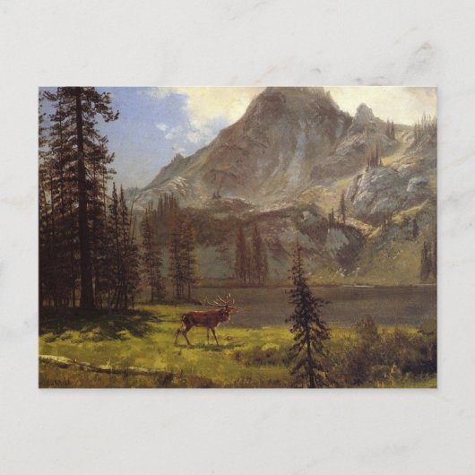 Carte Postale Appel du Far (Devant)