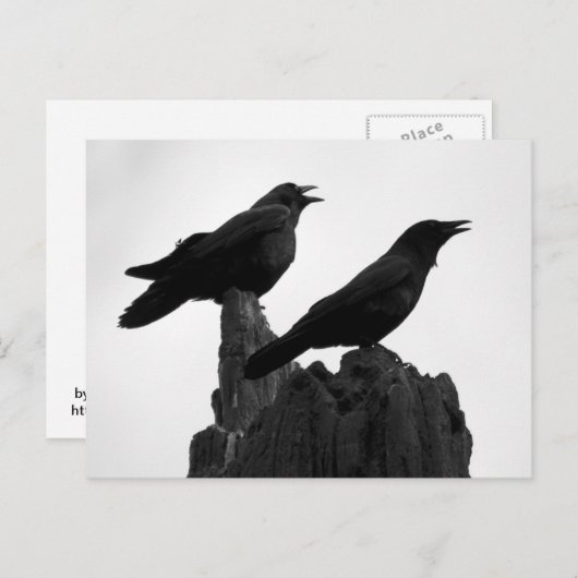 Carte Postale Appel du soir (Devant / Derrière)