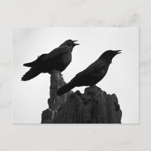 Carte Postale Appel du soir (Devant)