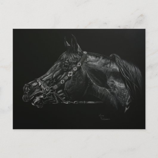 Carte Postale Appeler (Devant)