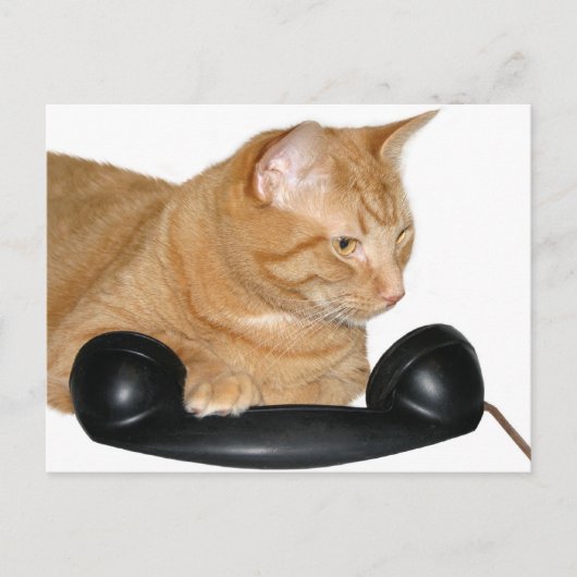 Carte Postale Appelle-moi (Devant)