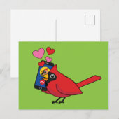 Carte Postale Appels d'accouplement Cardinal Bird Love (Devant / Derrière)