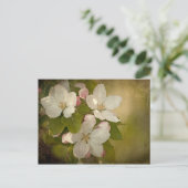 Carte postale Apple Blossom (Debout devant)