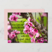 Carte postale Apple Blossom (Devant / Derrière)