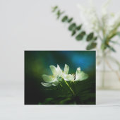 Carte Postale Apple Blossom - Deux Fleurs (Debout devant)