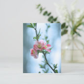 Carte postale Apple Blossom #P0365 (Debout devant)