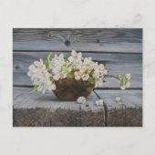 Carte Postale Apple Blossom Still Life – Original Fine Art Print (Devant)
