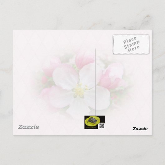 Carte Postale Apple Blossom Time (Dos)