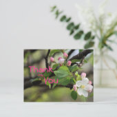 Carte postale Apple Blossoms - personnaliser à tou (Debout devant)