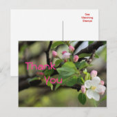 Carte postale Apple Blossoms - personnaliser à tou (Devant / Derrière)