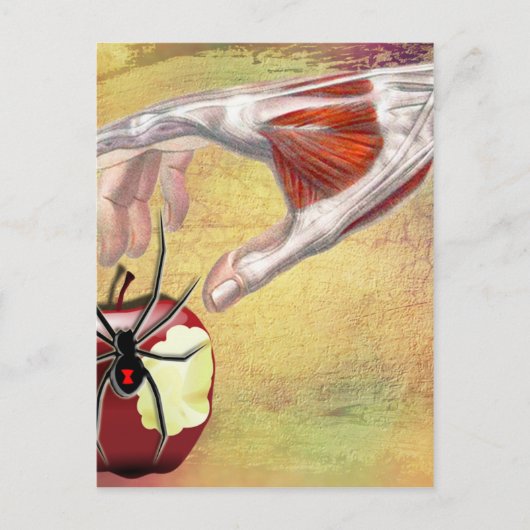 Carte Postale APPLE.jpg D'ADAM (Devant)