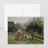 Carte Postale Apple Trees | Sunny Morning (Devant / Derrière)
