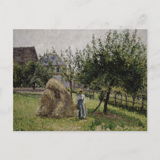 Carte Postale Apple Trees | Sunny Morning (Devant)