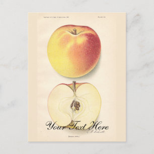 Carte postale Apple vintage