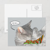 Carte postale Appologie Cute Cat (Devant / Derrière)
