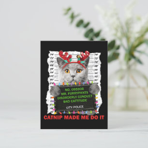 Carte Postale Apportez Noël laid pour chat maman chat papa chat