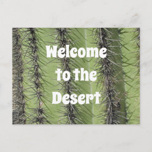 Carte Postale Appréciation de la réalité photographique du déser