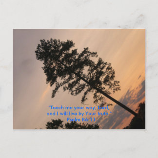 Carte Postale "Apprends-moi ton chemin, Seigneur, et je vais l..