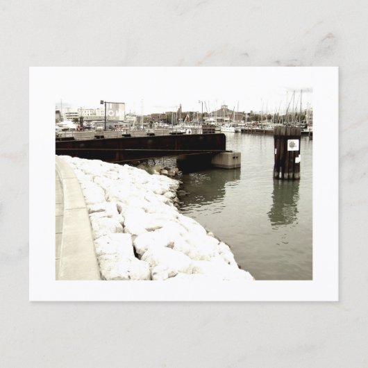 Carte Postale Approachable Wolf Post Card Print (Devant)