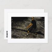 Carte Postale Approachable Wolf Post Card Print (Devant / Derrière)