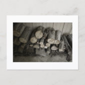 Carte Postale Approachable Wolf Post Card Print (Devant)