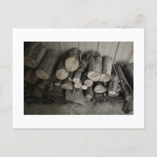 Carte Postale Approachable Wolf Post Card Print