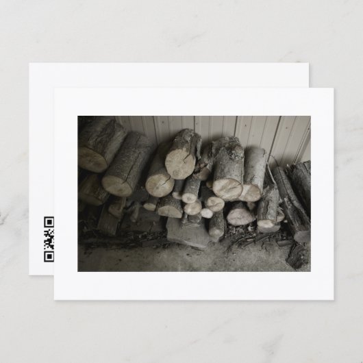 Carte Postale Approachable Wolf Post Card Print (Devant / Derrière)