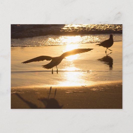Carte Postale Approche d'atterrissage (Devant)