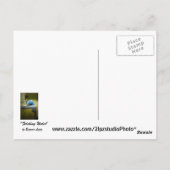 Carte Postale Approvisionnement en eau (Dos)