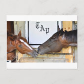 Carte Postale Appuyez Sur Moi Pour Éteindre (Devant)