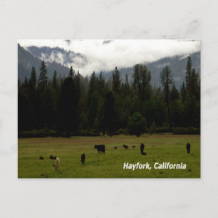 Carte Postale Après la pluie.......