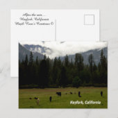 Carte Postale Après la pluie....... (Devant / Derrière)