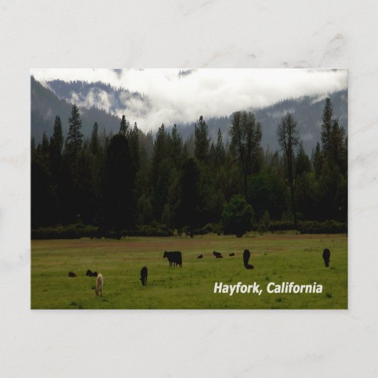 Carte Postale Après la pluie....... (Devant)