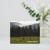 Carte Postale Après la pluie....... (Debout devant)